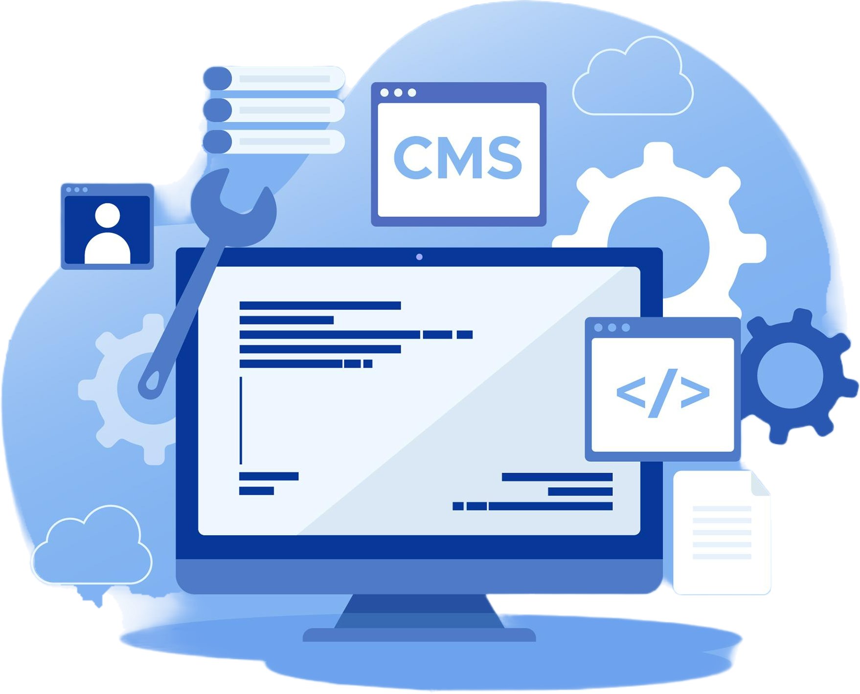 cms development